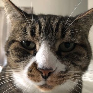 Meet your Posher, Diane